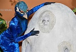 Watch Heidi Klum transform into a peacock for Halloween 2023 - ABC News