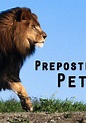 Preposterous Pets - streaming tv show online