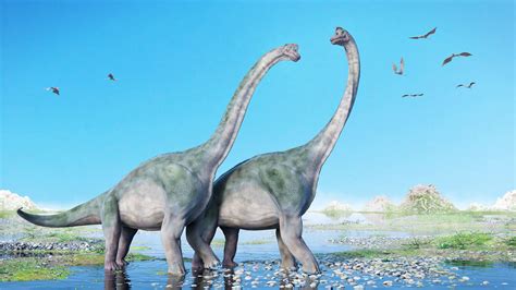 Scientists Learn How Super Giant Sauropods Grew To Be So Massive