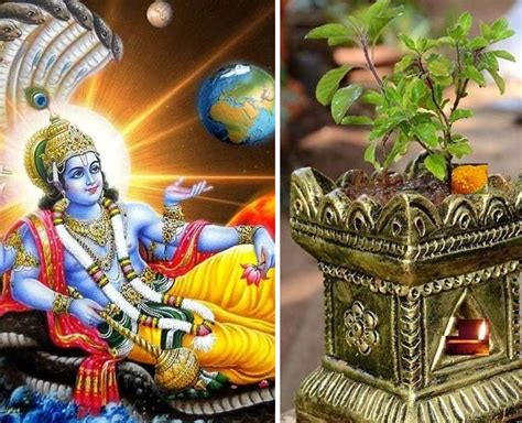 Know Why Tulsi Leaves Are Not Offered When Worshiping Lord Shiva In