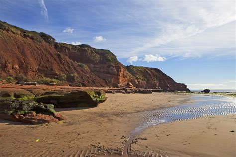 Exmouth To Budleigh Salterton Walk Complete Guide