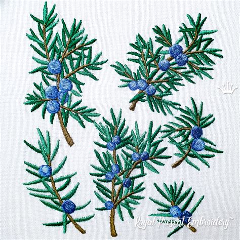Juniper Branches With Berries Machine Embroidery Designs 6 In 1