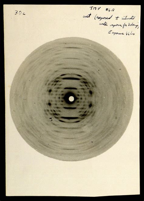 Rosalind Franklin and her work on virus structures — Churchill Archives