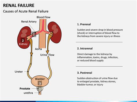 Acute Kidney Failure Treatment Best Nephrologist In Hyderabad