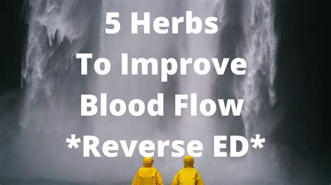 5 Herbs To Improve Blood Flow Reverse Ed Youtube