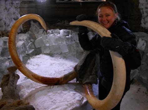 Effort To Clone Woolly Mammoth Takes Big Step Forward Huffpost