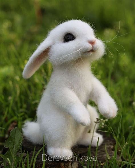 A Small White Rabbit Sitting On Top Of A Log