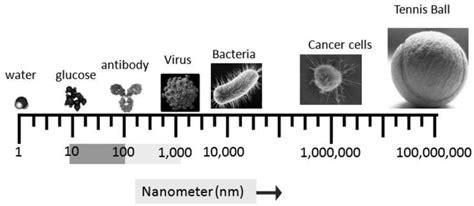 Cancers Free Full Text Nanotechnology Based Detection And Targeted