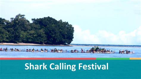 Shark Calling Festival Youtube