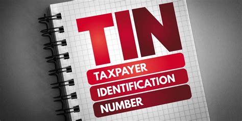 Tax Identification Numbers Tins What You Need To Know