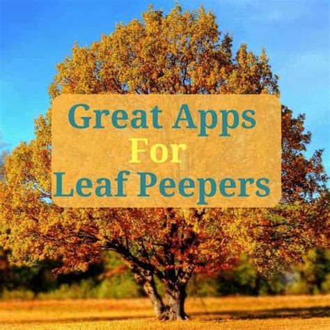 Great Apps For Leaf Peepers Enjoy Fall Foliage To The Extreme