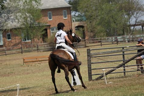 The Photos Tales From A Bad Eventer