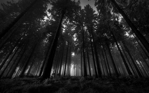 10 Top Dark Wood Wallpaper Hd Full Hd 1080p For Pc Background 2020