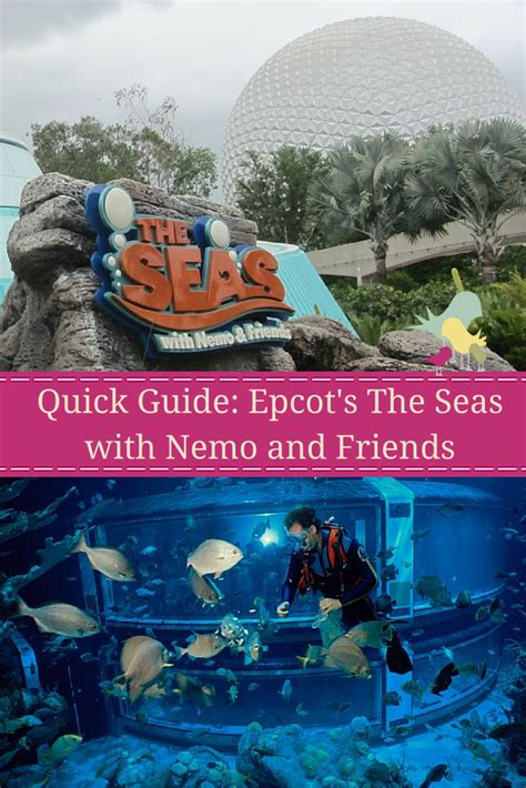 Quick Guide Epcots The Seas With Nemo And Friends Carrie On Travel
