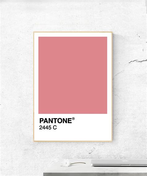 Pink Pantone Digital Print Pantone Poster Minimalist Pantone Swatch