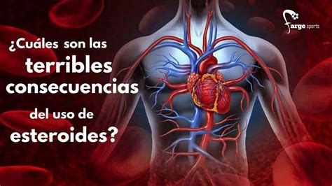 ¿cuáles Son Las Terribles Consecuencias Del Uso De Esteroides En