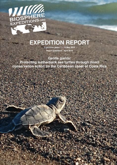 Pdf Expedition Report Gentle Giants Protecting Leatherback Sea