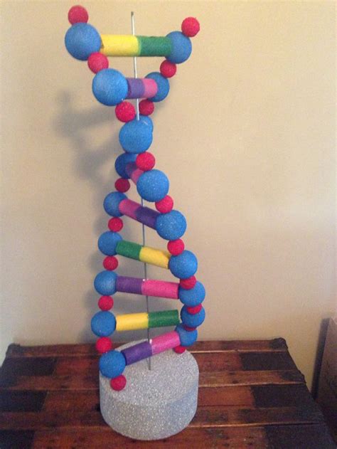 Dna High School Project 2016 High School Project Dna Model Project