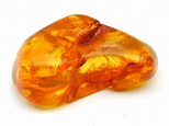 Amber Crystal | Sacred Source Crystal Shop