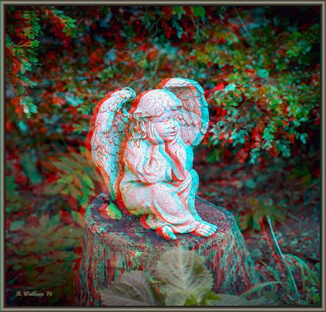 Stumped Use Red Cyan 3d Glasses Photograph By Brian Wallace