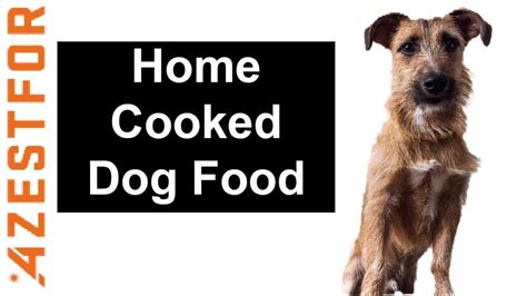 Homemade dog food for diabetic dogs. Home Cooked Dog Food? ⭐ Recipe Chicken & Oatmeal - Home Of ...