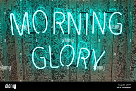 Oasis Morning Glory Neon Sign Berwick Street Soho London England