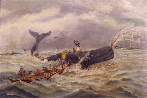 Two Century Old Shipwrecked Whaling Ship Discovered In
