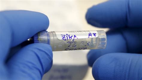 Zika Virus In Texas A Sex Education Problem Health Al Jazeera