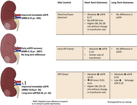 Robotic Partial Nephrectomy Urologic Clinics