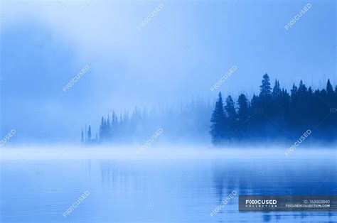 Foggy Lake With Trees — Outdoor Cleanness Stock Photo 163003840