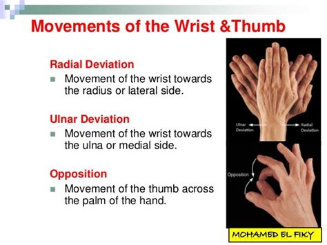 Opposition Movement