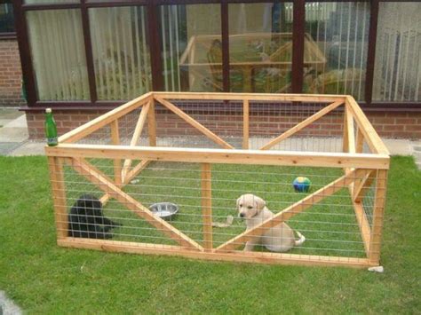 Como Construir Um Canil Seguro Para Seu Cachorro Raças De Cachorros