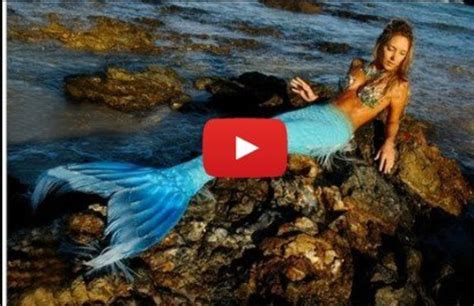 Mysteries Of The Ocean Do Mermaids Really Exist Are There Real Life
