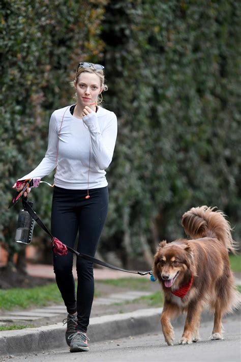 Amanda Seyfried Takes Her Dog For A Walk In West Hollywood Los Angeles
