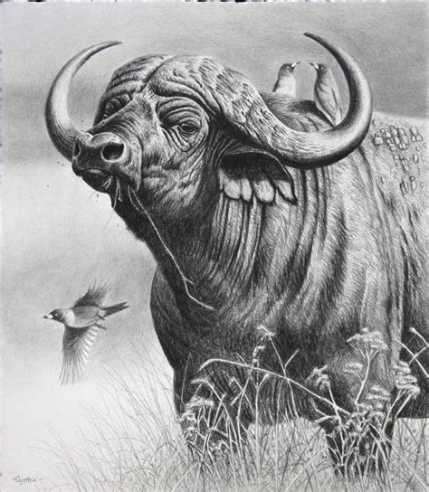 Learn how to draw ducks, squirrels, red pandas, and more with wikihow's drawing animals category! 25 Beautiful and Realistic Animal Drawings around the ...