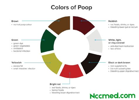 Why Is My Poop Green Stool Colors Detailed