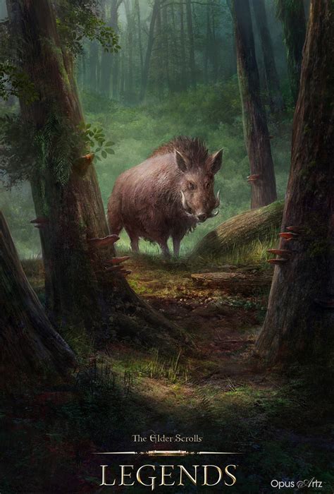 My Wild Boar Illustration For Elder Scrolls Legends Jaws Of Oblivion