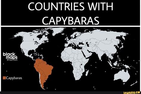 Countries With Capybaras Black Maps Ifunny Brazil