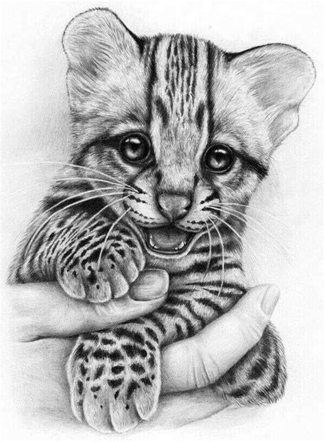 2) from the middle of the rectangle, draw one vertical define, with a small circle, the cheetah's face. Pin by Andrea Dees on art | Pencil drawings of animals ...