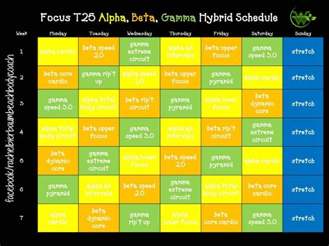 focus t25 alpha, beta gamma hybrid schedule facebook ...