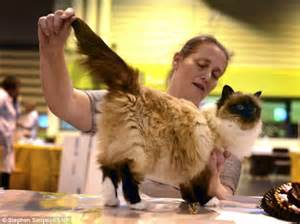 Supreme Championship Cat Show 2012 Countrys Fanciest Felines Compete