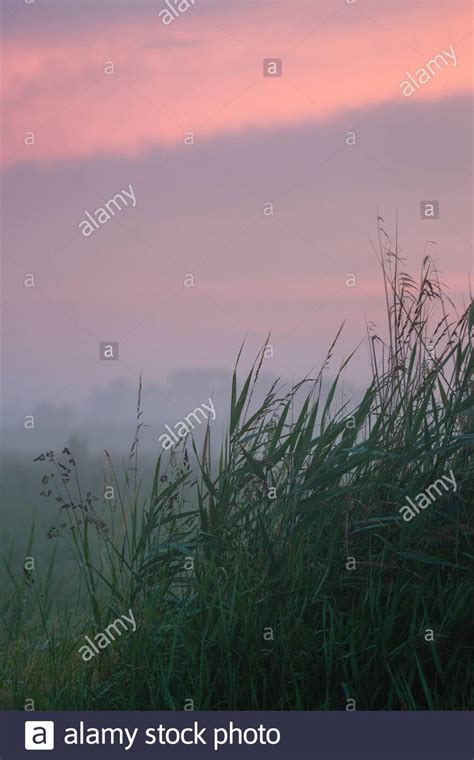 Evening Mist Hi Res Stock Photography And Images Alamy