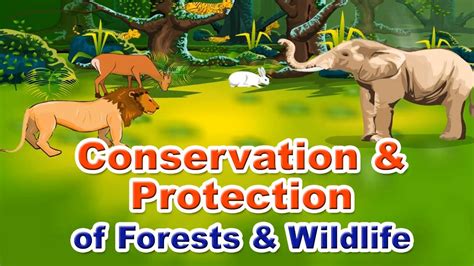 Conservation And Protection Of Forests And Wildlife Home Revise Youtube