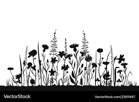 Wildflower Silhouettes Wild Grass Spring Field Vector Image