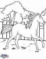Galloping Horse Coloring Getcolorings sketch template