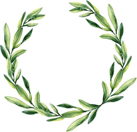 Green Foliage Clipart Greenery Clipart Watercolor Wreath Clipart Png