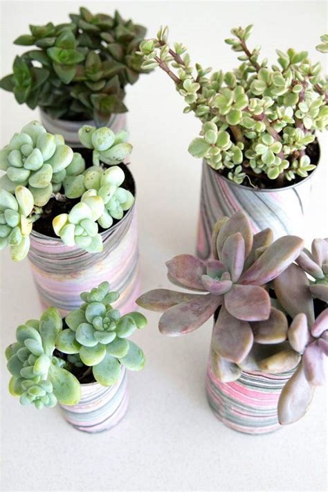 37 Most Beautiful Succulent Container Garden Diys With