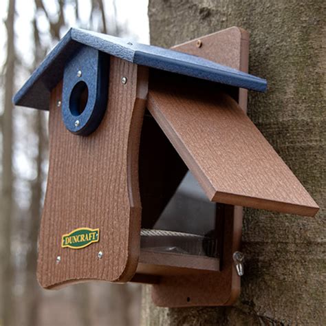 Duncraft Bird Safe® Ez Observation Bluebird House With
