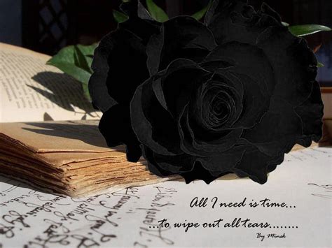 Red rose black background single red rose flower. Black Rose Wallpapers - Wallpaper Cave