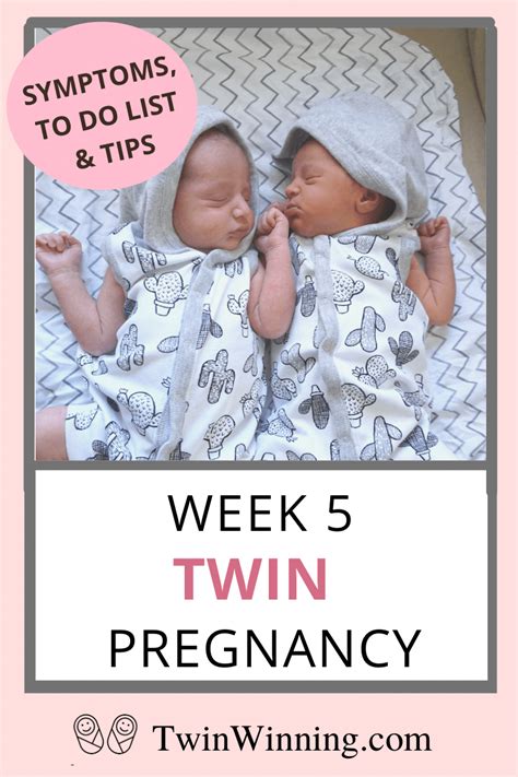 Twin Pregnancy Week What To Expect Twin Winning